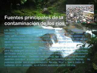 Fuentes principales de la
contaminación de los ríos
Los Seres humanos hemos convertidos nuestros ríos, en verdaderos
basureros, y no hemos tenido en cuenta que los ríos son una fuente de
vida, un excelente medio de transporte, y nos proporcionan alimentos.
Los procesos industriales también contaminan los ríos porque vierten sus
aguas residuales directamente a ellos, sin ser tratadas para eliminar los
agentes contaminantes.
Todos debemos contribuir a que la contaminación de los ríos no continúe,
para eso debemos participar en las campañas que organizan las entidades
del Estado para la protección de las fuentes hidrográficas, especialmente
en las áreas rurales. También las personas que vivimos en las ciudades
podemos contribuir a cuidar los ríos que pertenecen a nuestra Región.
No
podemos olvidar que el agua es nuestro Recurso Vital y que si todos la
cuidamos en el presente, en el futuro podremos contar con ella.

 