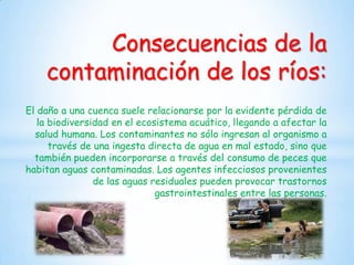 Consecuencias de la
contaminación de los ríos:
El daño a una cuenca suele relacionarse por la evidente pérdida de
la biodiversidad en el ecosistema acuático, llegando a afectar la
salud humana. Los contaminantes no sólo ingresan al organismo a
través de una ingesta directa de agua en mal estado, sino que
también pueden incorporarse a través del consumo de peces que
habitan aguas contaminadas. Los agentes infecciosos provenientes
de las aguas residuales pueden provocar trastornos
gastrointestinales entre las personas.

 