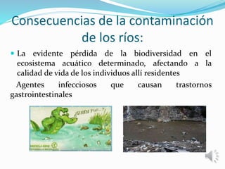 Consecuencias de la contaminación
de los ríos:
 La evidente pérdida de la biodiversidad en el
ecosistema acuático determinado, afectando a la
calidad de vida de los individuos allí residentes
Agentes infecciosos que causan trastornos
gastrointestinales
 
