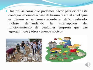  Una de las cosas que podemos hacer para evitar este
contagio incesante a base de basura residual en el agua
es denunciar sanciones acorde al daño realizado,
incluso demandando la interrupción del
funcionamiento de cualquier empresa que use
agroquímicos y otros venenos nocivos.
 