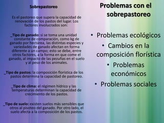 Sobrepastoreo	Es el pastoreo que supera la capacidad de renovación de los pastos del lugar. Los factores involucrados son: _Tipo de ganado: si se toma una unidad constante de comparación, como kg de ganado por hectárea, las distintas especies y variedades de ganado afectan en forma diferente a un campo; esto se debe, entre otros factores, a la forma en que come el ganado, al impacto de las pezuñas en el suelo y al peso de los animales._Tipo de pastos: la composición florística de los pastos determina la capacidad de pastoreo._Tipo de clima: el régimen hídrico y las temperaturas determinan la capacidad de crecimiento de los pastos. _Tipo de suelo: existen suelos más sensibles que otros al pisoteo del ganado. Por otro lado, el suelo afecta a la composición de los pastos.Problemas con el sobrepastoreoProblemas ecológicos