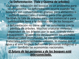 Problemas económicos