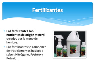 Los fertilizantes son
nutrientes de origen mineral
creados por la mano del
hombre.
Los fertilizantes se componen
de tres elementos básicos a
saber: Nitrógeno, Fósforo y
Potasio.
 