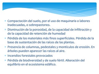 Compactación del suelo, por el uso de maquinaria o labores
inadecuadas, o sobrepastoreo.
Disminución de la porosidad, de la capacidad de infiltración y
de la capacidad de retención de humedad
Pérdida de los materiales más finos superficiales. Pérdida de la
base de sustentación de las raíces de las plantas.
Presencia de columnas, pedestales y montículos de erosión. En
árboles pueden aparecer las raíces al aire.
Incendios forestales provocados
Pérdida de biodiversidad y de suelo fértil. Alteración del
equilibrio en el ecosistema edáfico.
 