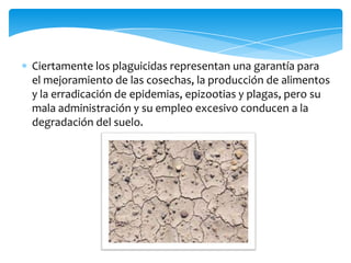 Ciertamente los plaguicidas representan una garantía para
el mejoramiento de las cosechas, la producción de alimentos
y la erradicación de epidemias, epizootias y plagas, pero su
mala administración y su empleo excesivo conducen a la
degradación del suelo.
 