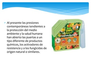 Al presente las presiones
contemporáneas tendientes a
la protección del medio
ambiente y la salud humana
han abierto las puertas a un
tipo diferente de productos
químicos, los activadores de
resistencia y a los fungicidas de
origen natural o similares.
 