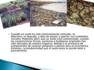  Cuando un suelo ha sido continuamente utilizado, se
deteriora, se degrada, y deja de poseer y aportar sus cualidades
iniciales. Podemos decir que un suelo está contaminado, cuando
las características físicas, químicas o biológicas originales han
sido alteradas de manera negativa, debido a la presencia de
componentes de carácter peligroso o dañino para el ecosistema.
Entonces, la productividad que el suelo tenía se pierde total o
parcialmente.
 