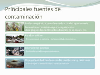 Principales fuentes de contaminación