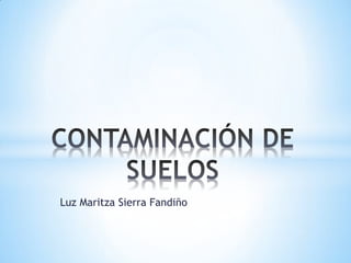 Luz Maritza Sierra Fandiño
 