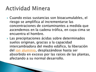 Cuando estas sustancias son bioacumulables, el
riesgo se amplifica al incrementarse las
concentraciones de contaminantes a medida que
ascendemos en la cadena trófica, en cuya cima se
encuentra el hombre.
 Las precipitaciones ácidas sobre determinados
suelos originan, gracias a la capacidad
intercambiadora del medio edáfico, la liberación
del ion aluminio, desplazándose hasta ser
absorbido en exceso por las raíces de las plantas,
afectando a su normal desarrollo.
 