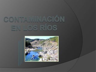 Contaminación en los ríos 