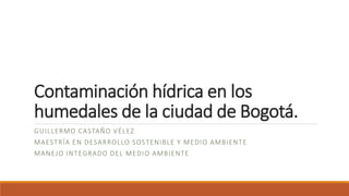 Contaminación hídrica en los
humedales de la ciudad de Bogotá.
GUILLERMO CASTAÑO VÉLEZ
MAESTRÍA EN DESARROLLO SOSTENIBLE Y MEDIO AMBIENTE
MANEJO INTEGRADO DEL MEDIO AMBIENTE
 