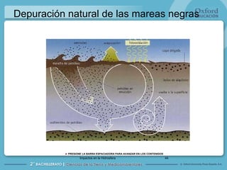 Depuración natural de las mareas negras Impactos en la Hidrosfera 