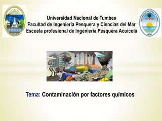 Universidad Nacional de Tumbes
Facultad de Ingeniería Pesquera y Ciencias del Mar
Escuela profesional de Ingeniería Pesquera Acuícola
Tema: Contaminación por factores químicos
 