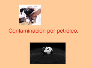 Contaminación por petróleo. 