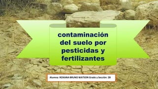 contaminación
del suelo por
pesticidas y
fertilizantes
Alumna: ROXANA BRUNO WATSON Grado y Sección: 2B
 