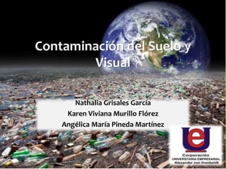 Contaminación del Suelo y
Visual
Nathalia Grisales García
Karen Viviana Murillo Flórez
Angélica María Pineda Martínez
 