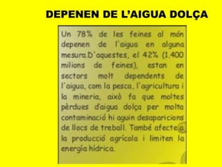 DEPENEN DE L’AIGUA DOLÇA
 