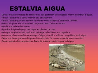 ESTALVIA AIGUA
-Dutxar-nos en comptes de banyar-nos, així gastarem cinc vegades menys quantitat d'aigua.
-Tancar l'aixeta de la dutxa mentre ens ensabonem.
-Tancar l'aixeta quan ens rentem les dents o ens afaitem: s'estalvien 14 litres.
-Rentar els plats a la pica amb el tap posat i amb l'aixeta tancada.
-No obrir al màxim les aixetes.
-Aprofitar l'aigua de pluja per regar les plantes de casa.
-No regar les plantes del jardí amb mànega, cal utilitzar una regadora.
-No rentar el cotxe amb una mànega d'aigua, és millor utilitzar una galleda amb aigua.
-Exigir una bona gestió de l'aigua a les autoritats de la nostra població o comunitat.
-Donar suport a les campanyes a favor de la reducció del consum d'aigua.
 