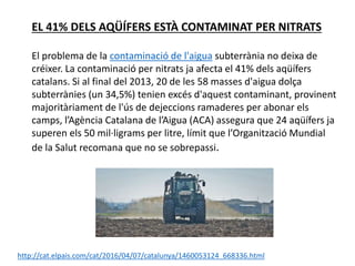 EL 41% DELS AQÜÍFERS ESTÀ CONTAMINAT PER NITRATS
El problema de la contaminació de l'aigua subterrània no deixa de
créixer. La contaminació per nitrats ja afecta el 41% dels aqüífers
catalans. Si al final del 2013, 20 de les 58 masses d'aigua dolça
subterrànies (un 34,5%) tenien excés d'aquest contaminant, provinent
majoritàriament de l'ús de dejeccions ramaderes per abonar els
camps, l’Agència Catalana de l’Aigua (ACA) assegura que 24 aqüífers ja
superen els 50 mil·ligrams per litre, límit que l’Organització Mundial
de la Salut recomana que no se sobrepassi.
http://cat.elpais.com/cat/2016/04/07/catalunya/1460053124_668336.html
 
