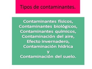 Tipos de contaminantes.