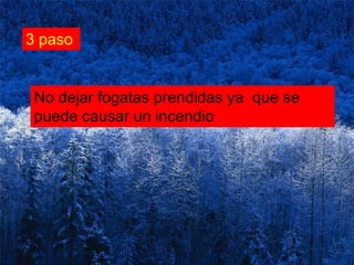 3 pasoNo dejar fogatas prendidas ya  que se puede causar un incendio