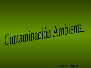 Contaminación Ambiental Rocío Gargiulo 