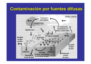 Contaminación por fuentes difusas
                         (FAO 2003)
 