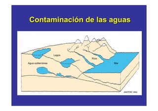 Contaminación de las aguas



                   Lagos
                           Ríos
Agua subterránea                  Mar




                                        (MAPFRE 1994)
 