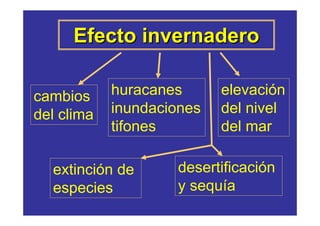 Efecto invernadero

cambios     huracanes      elevación
del clima   inundaciones   del nivel
            tifones        del mar

  extinción de      desertificación
  especies          y sequía
 