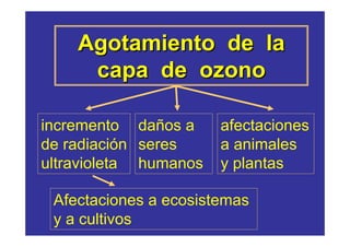 Agotamiento de la
     capa de ozono

incremento daños a     afectaciones
de radiación seres     a animales
ultravioleta humanos   y plantas

 Afectaciones a ecosistemas
 y a cultivos
 