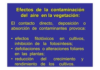Efectos de la contaminación
    del aire en la vegetación:
El contacto directo, deposición o
absorción de contaminantes provoca:

• efectos fitotóxicos en cultivos,
  inhibición de la fotosíntesis;
• defoliaciones o alteraciones foliares
  en las plantas;
• reducción    del     crecimiento y
  rendimiento de los cultivos.
 