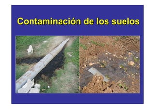 Contaminación de los suelos
 