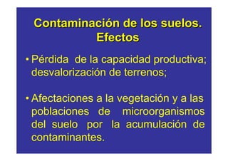 Contaminación de los suelos.
          Efectos
• Pérdida de la capacidad productiva;
  desvalorización de terrenos;

• Afectaciones a la vegetación y a las
  poblaciones de microorganismos
  del suelo por la acumulación de
  contaminantes.
 