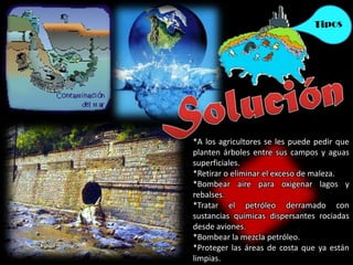 *A los agricultores se les puede pedir que
planten árboles entre sus campos y aguas
superficiales.
*Retirar o eliminar el exceso de maleza.
*Bombear aire para oxigenar lagos y
rebalses.
*Tratar el petróleo derramado con
sustancias químicas dispersantes rociadas
desde aviones.
*Bombear la mezcla petróleo.
*Proteger las áreas de costa que ya están
limpias.
 