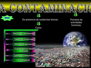 Índice
                    Es presencia de sustancias tóxicas.   Proviene de
                                                          actividades
                                                           humanas.
                                      Como
                                      :
         Pesticidas y fertilizantes


          Desechos industriales

          Vertidos de petroleros

          Cuando barcos limpian
                tanques

         Quema de combustibles

               El transporte
 
