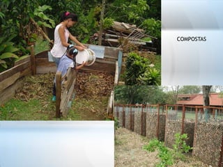 COMPOSTAS
 