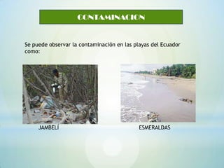 CONTAMINACION


Se puede observar la contaminación en las playas del Ecuador
como:




     JAMBELÍ                                ESMERALDAS
 