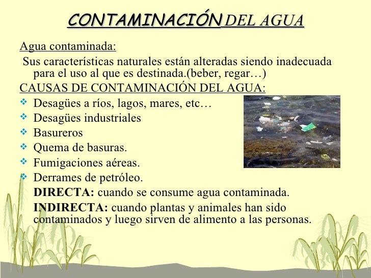 ¿Cuáles Son Las Principales Causas De La Contaminación Del Agua ...