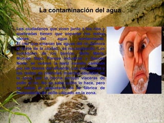 La contaminación del agua

Los ciudadanos que viven junto a los ríos y
quebradas tienen que soportar los malos
olores       del       agua      contaminada.
El olor que emanan las aguas del río Zamora
al norte de la ciudad, es nauseabundo. Los
moradores de los barrios: Bella María,
Motupe Bajo, Parque Industrial y Sauces
Norte, se cubren la nariz cuando caminan
por las riberas del afluente. Los escombros y
los restos de animales muertos abundan en
la zona, por la noche arrojan vísceras de
pollo al río. No se sabe quién lo hace, pero
se culpa al propietario de la fábrica de
faenamiento de pollo ubicado en la zona.
 