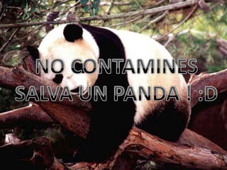 Menos Contaminacion ! Mas Accion !