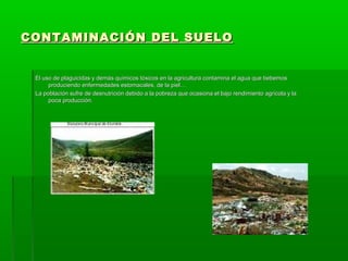 CONTAMINACIÓN DEL SUELOCONTAMINACIÓN DEL SUELO
El uso de plaguicidas y demás químicos tóxicos en la agricultura contamina el agua que bebemosEl uso de plaguicidas y demás químicos tóxicos en la agricultura contamina el agua que bebemos
produciendo enfermedades estomacales, de la piel…produciendo enfermedades estomacales, de la piel…
La población sufre de desnutrición debido a la pobreza que ocasiona el bajo rendimiento agrícola y laLa población sufre de desnutrición debido a la pobreza que ocasiona el bajo rendimiento agrícola y la
poca producción.poca producción.
 