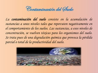 Contaminación del Suelo
La contaminación del suelo consiste en la acumulación de
sustancias a unos niveles tales que repercuten negativamente en
el comportamiento de los suelos. Las sustancias, a esos niveles de
concentración, se vuelven tóxicas para los organismos del suelo.
Se trata pues de una degradación química que provoca la pérdida
parcial o total de la productividad del suelo.
 