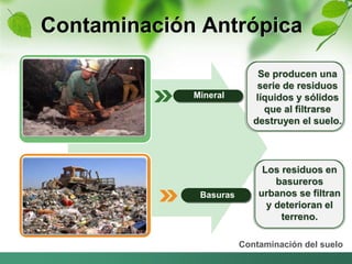 Contaminación Antrópica 
Los residuos en 
basureros 
urbanos se filtran 
y deterioran el 
terreno. 
Contaminación del suelo 
Mineral 
Basuras 
Se producen una 
serie de residuos 
líquidos y sólidos 
que al filtrarse 
destruyen el suelo. 
 
