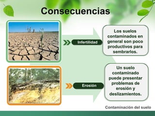 Consecuencias 
Un suelo 
contaminado 
puede presentar 
problemas de 
erosión y 
deslizamientos. 
Contaminación del suelo 
Infertilidad 
Erosión 
Los suelos 
contaminados en 
general son poco 
productivos para 
sembrarlos. 
 