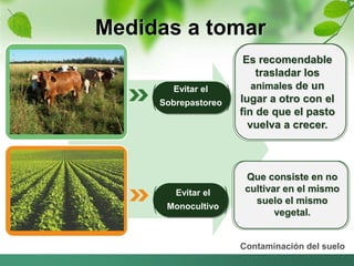 Medidas a tomar 
Contaminación del suelo 
Evitar el 
Sobrepastoreo 
Evitar el 
Monocultivo 
Es recomendable 
trasladar los 
animales de un 
lugar a otro con el 
fin de que el pasto 
vuelva a crecer. 
Que consiste en no 
cultivar en el mismo 
suelo el mismo 
vegetal. 
 