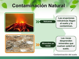 Contaminación Natural 
Las rocas 
desprenden 
minerales que 
vuelven estéril el 
suelo. 
Contaminación del suelo 
Volcanes 
Minerales en 
rocas 
Las erupciones 
volcánicas llegan 
al suelo y lo 
contaminan. 
 