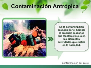 Contaminación Antrópica 
Es la contaminación 
causada por el hombre 
al producir desechos 
que afectan el suelo en 
las diferentes 
actividades que realiza 
en la sociedad. 
Contaminación del suelo 
 