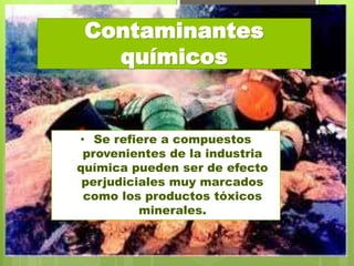 • Se refiere a compuestos
provenientes de la industria
química pueden ser de efecto
perjudiciales muy marcados
como los productos tóxicos
minerales.
Contaminantes
químicos
 