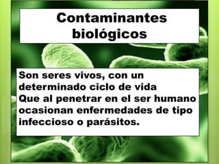 Contaminantes
biológicos
Son seres vivos, con un
determinado ciclo de vida
Que al penetrar en el ser humano
ocasionan enfermedades de tipo
infeccioso o parásitos.
 